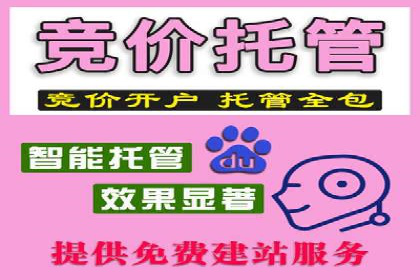 案例展示：SEM推广助力企业拓展市场